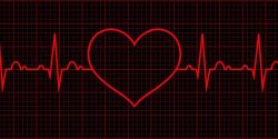 heart beat cardio