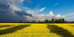field and sky of Ukraine