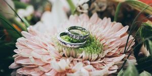 обручальные кольца на лилии