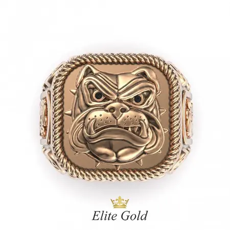 Золотой мужской перстень Bulldog