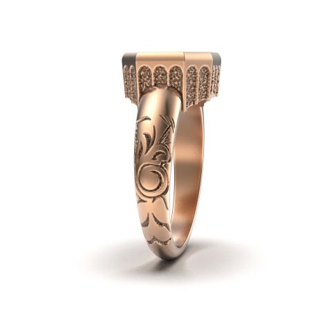 вид кольца с торца