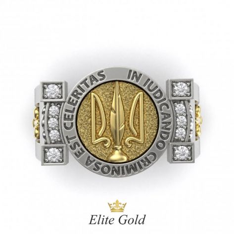 Эксклюзивное мужское кольцо с гербом и камнями