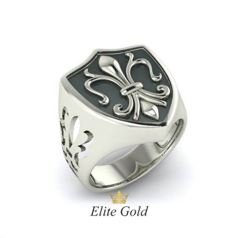 Авторский перстень с геральдической лилией и эмалью