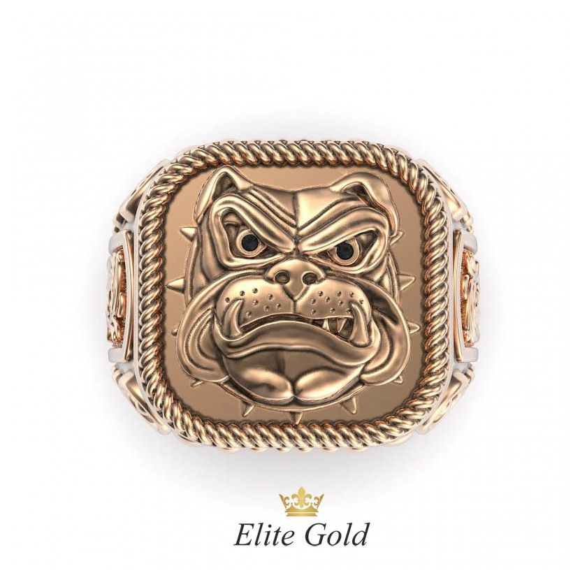 Золотой мужской перстень Bulldog